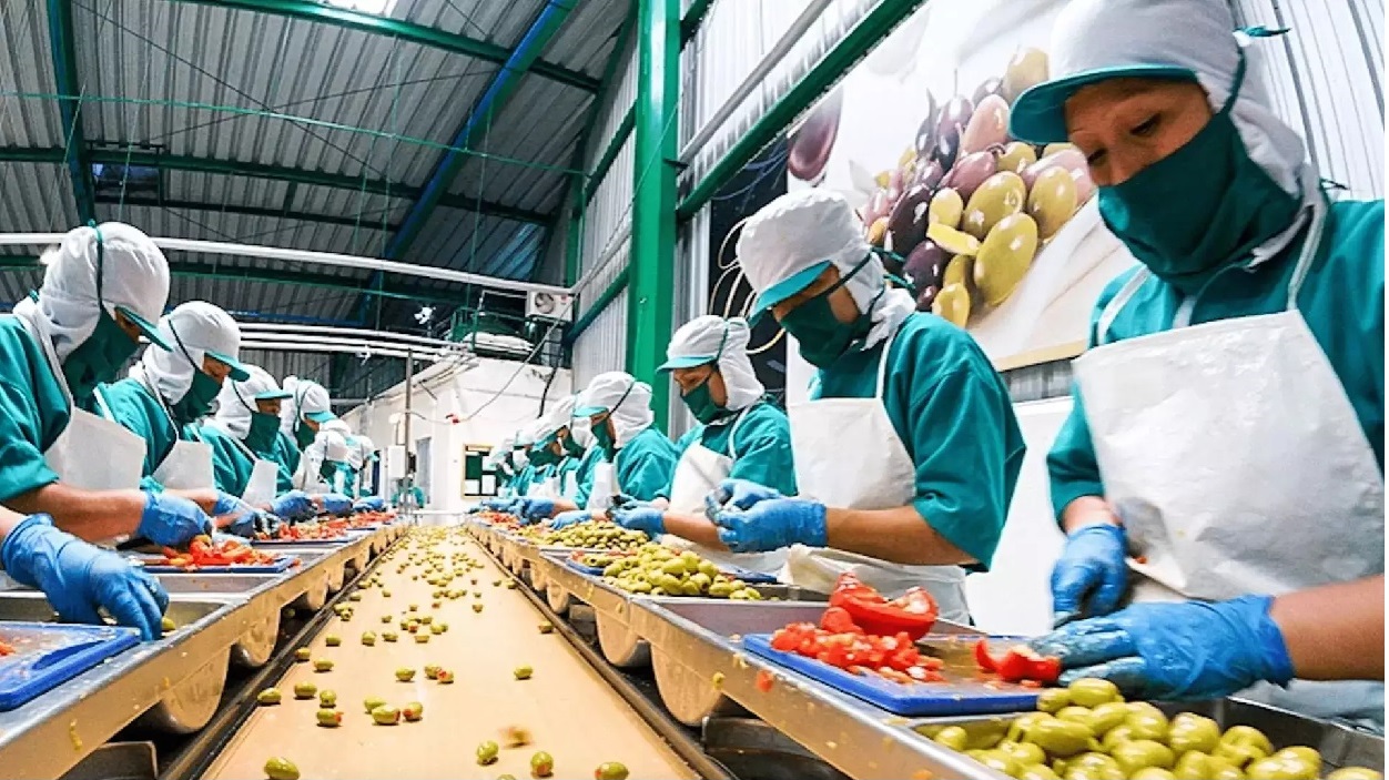DIPLOMA IN FOOD PROCESSING
